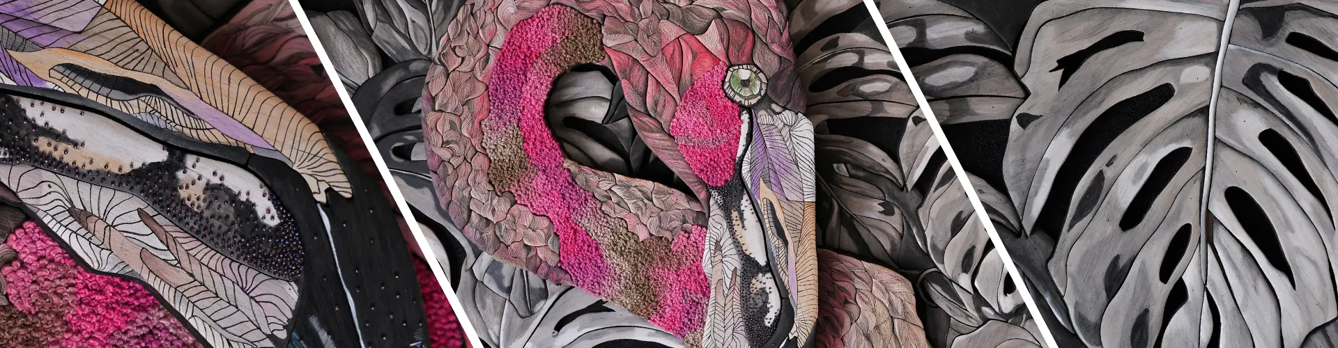 image_Evolett